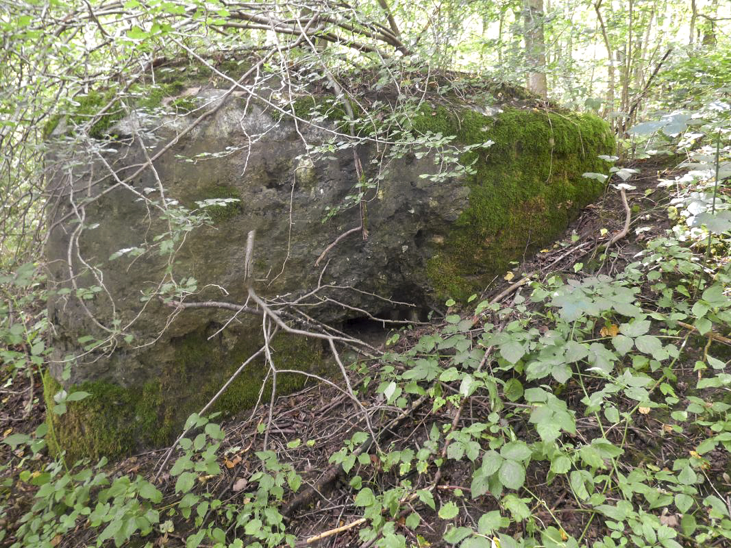 Ligne Maginot - BB68 - CHATEAU DE LA PIERRONNERIE - (Blockhaus pour arme infanterie) -  - JMBrams