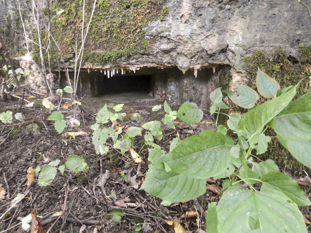Ligne Maginot - BB68 - CHATEAU DE LA PIERRONNERIE - (Blockhaus pour arme infanterie) -  - JMBrams