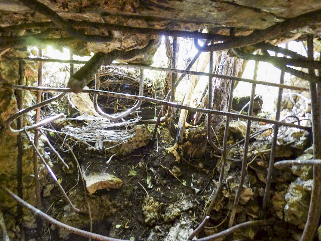 Ligne Maginot - BB69-B - BOIS DE LA PIERRONNERIE SUD - (Blockhaus pour arme infanterie) -  - JMBrams