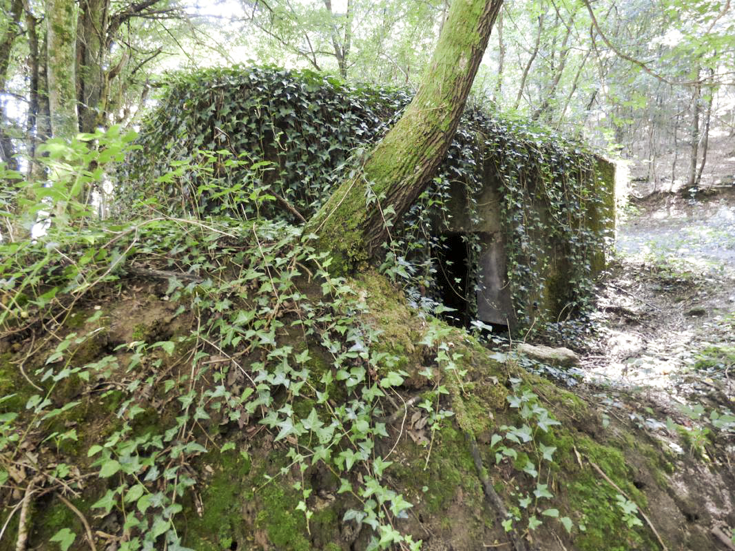 Ligne Maginot - BB71-B - LA PRE - (Blockhaus pour canon) - 