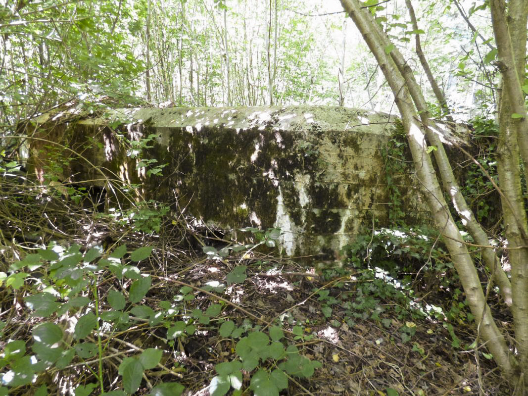 Ligne Maginot - BB71-E - CHAMPEAUX SUD - (Blockhaus pour canon) - 