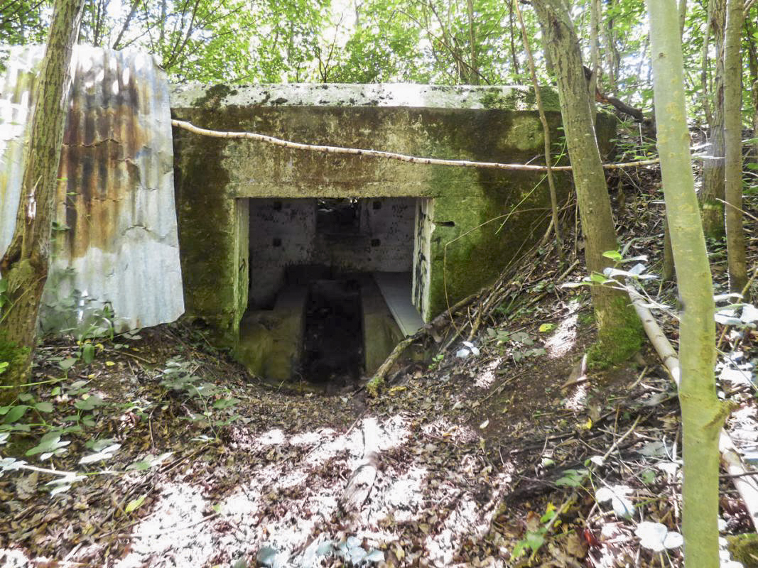 Ligne Maginot - BB71-E - CHAMPEAUX SUD - (Blockhaus pour canon) - 