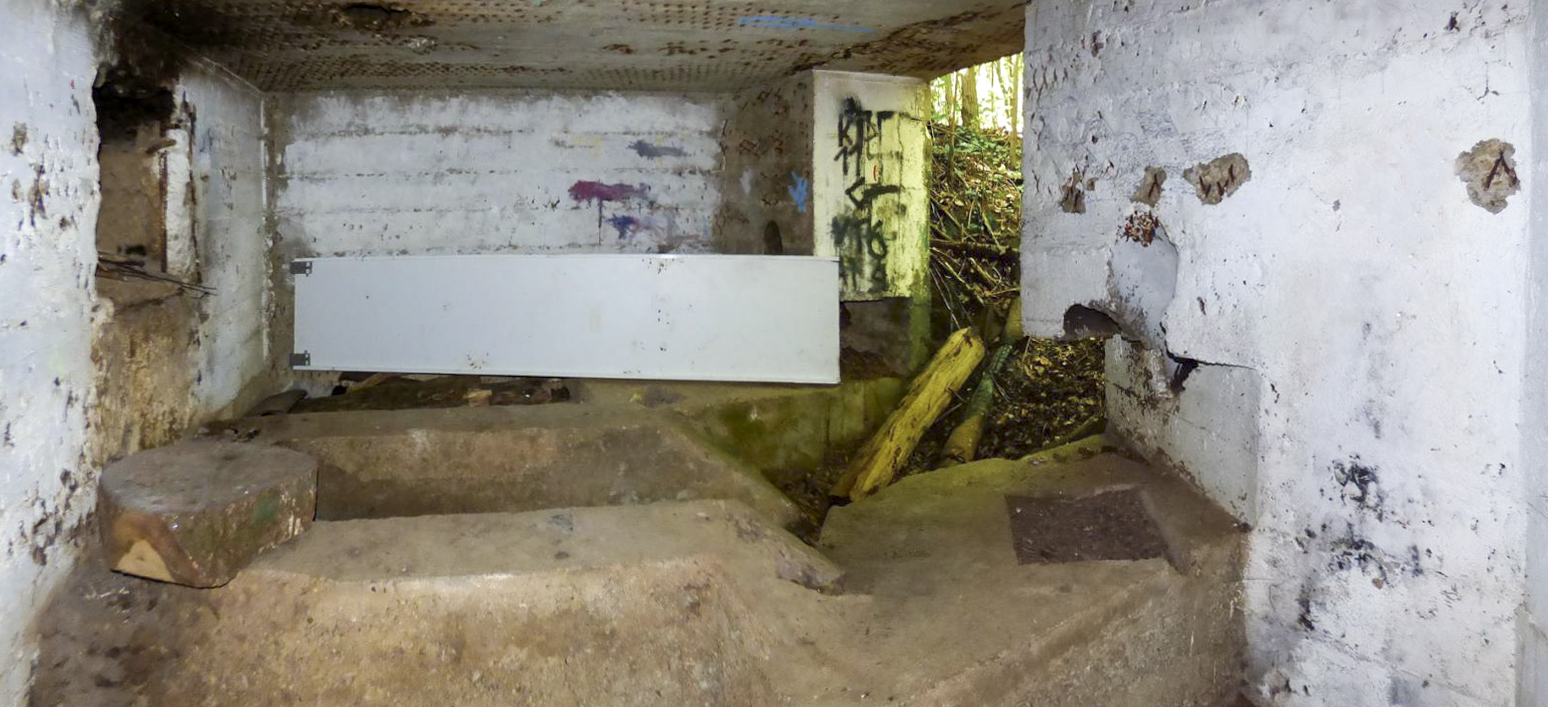 Ligne Maginot - BB71-E - CHAMPEAUX SUD - (Blockhaus pour canon) - 