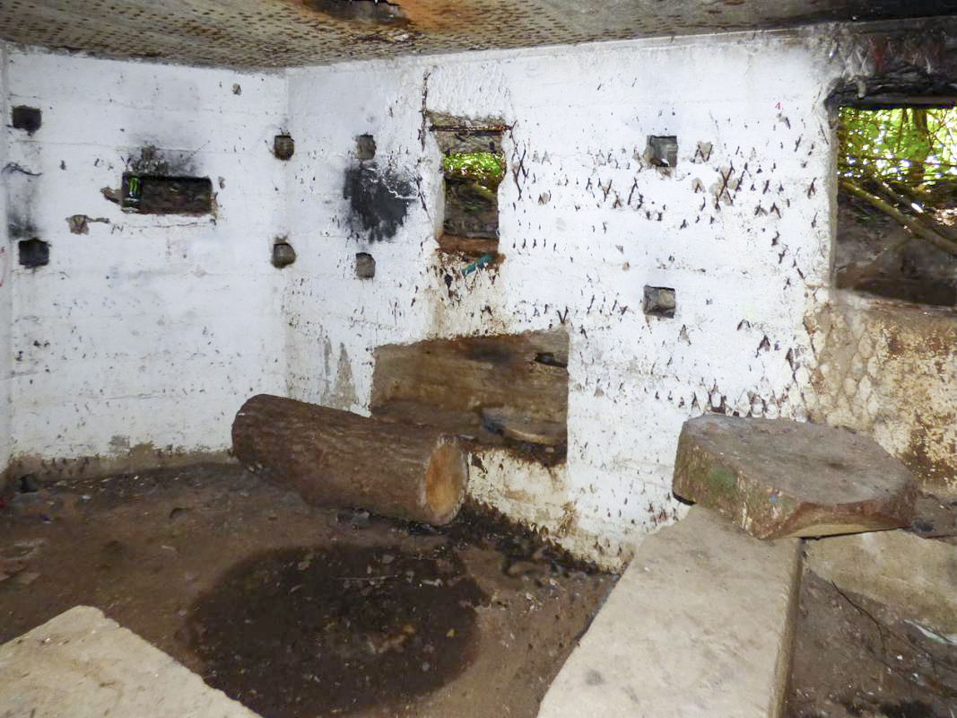 Ligne Maginot - BB71-E - CHAMPEAUX SUD - (Blockhaus pour canon) - 