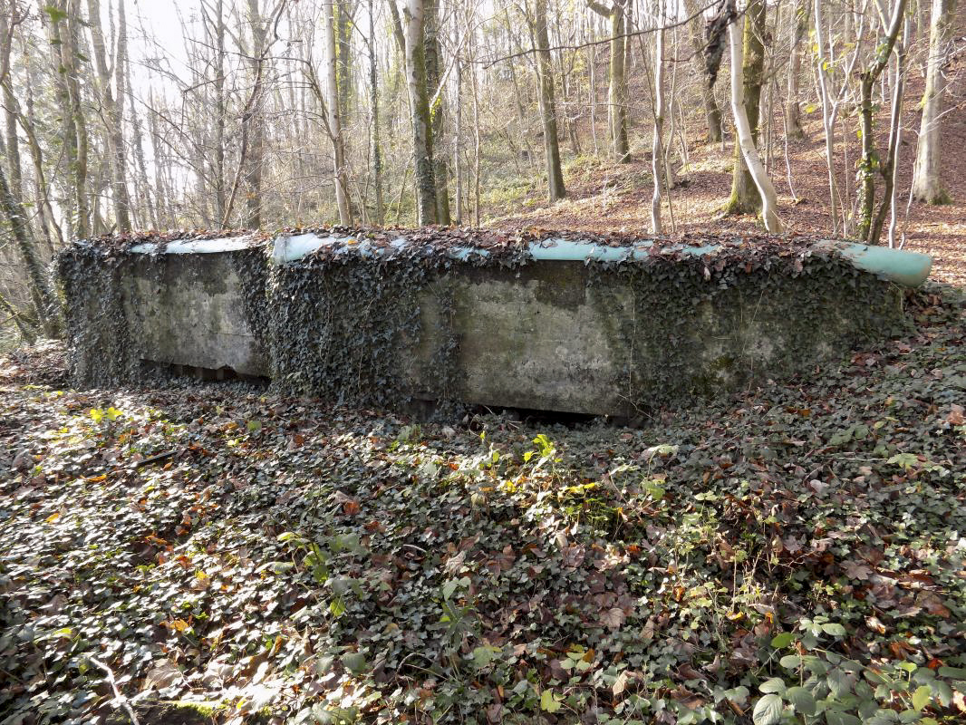 Ligne Maginot - BB72-B - LES HAUTS-PRES - (Blockhaus pour arme infanterie) - 