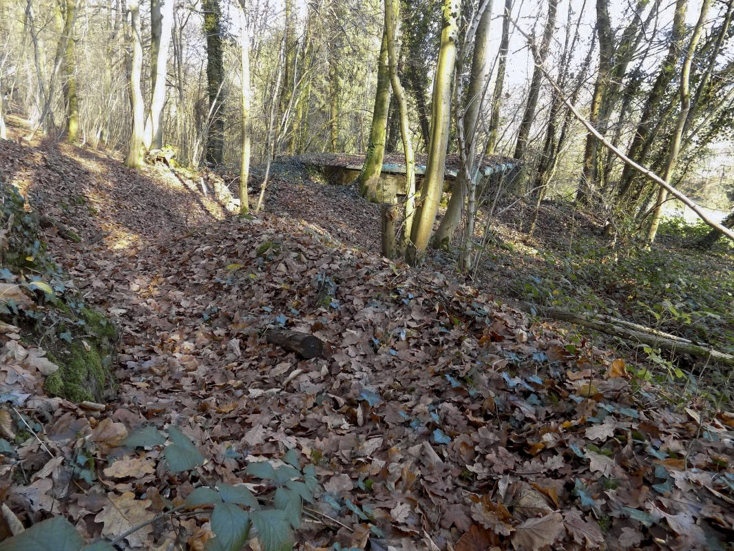 Ligne Maginot - BB72-B - LES HAUTS-PRES - (Blockhaus pour arme infanterie) - Vestige des tranchées vers l'entrée