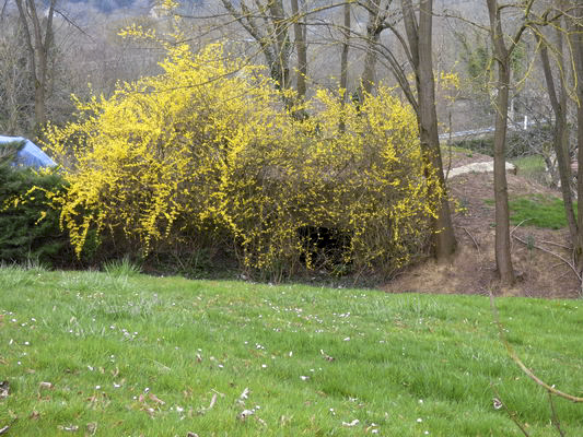 Ligne Maginot - BB73-B - MOULIN GODARD EST - (Blockhaus pour canon) -  - AALMA - www.lignemaginot.com