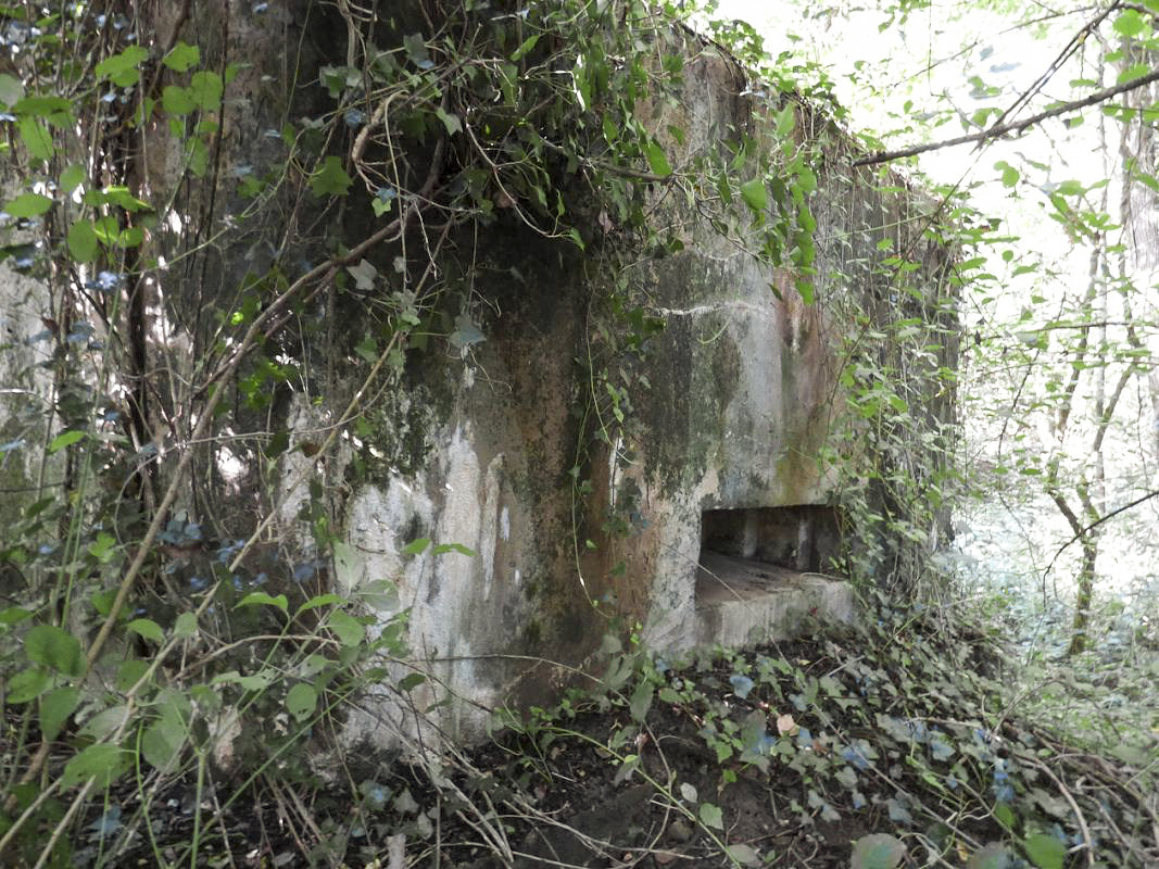 Ligne Maginot - BB74-B - LA SARTE SUD - (Blockhaus pour arme infanterie) - 