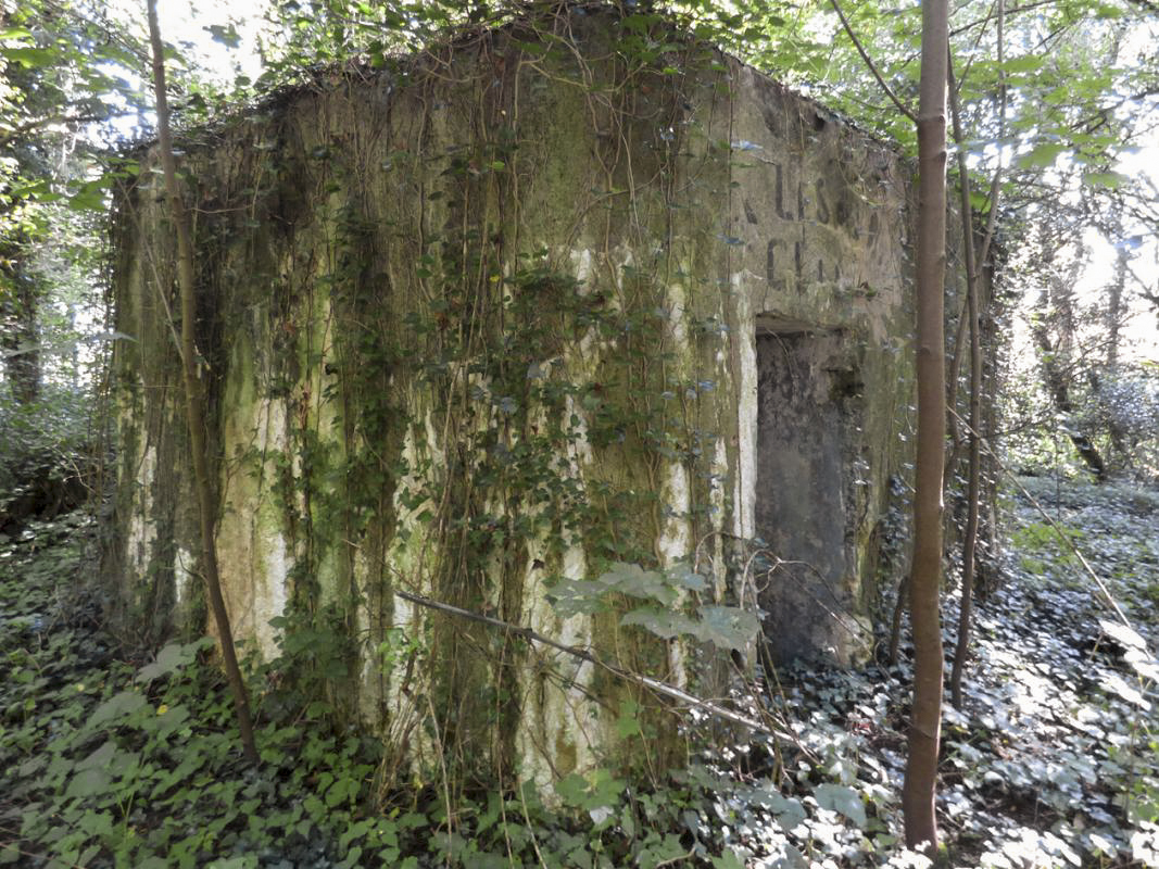Ligne Maginot - BB74-B - LA SARTE SUD - (Blockhaus pour arme infanterie) - 