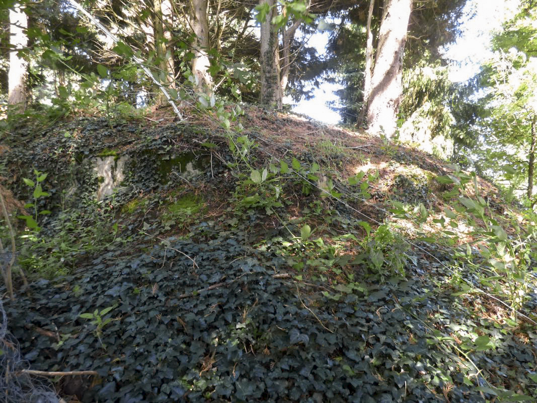 Ligne Maginot - BB74 - LA SARTE NORD - (Blockhaus pour arme infanterie) -  - JMBrams