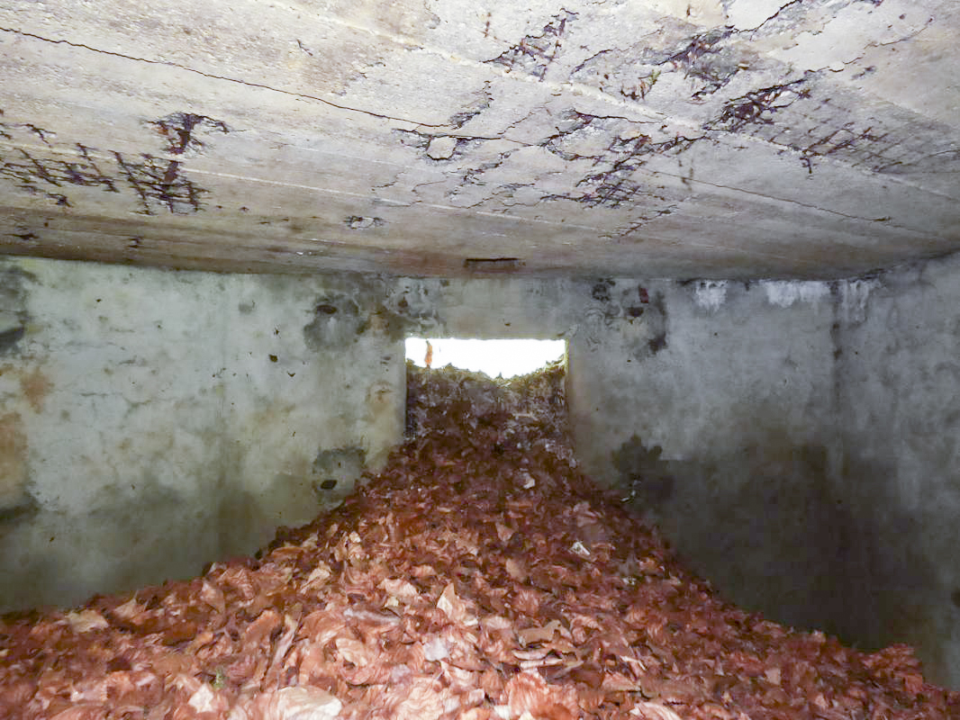 Ligne Maginot - BB75 - BERTHAUCOURT SUD - (Blockhaus pour arme infanterie) - 