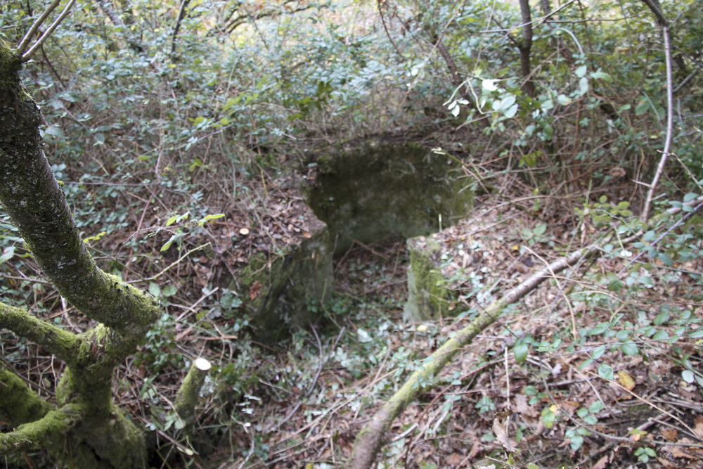 Ligne Maginot - TD20BIS - (Cuve pour arme d'infanterie) - L'emplacement de la tourelle au bout d'une tranchée bien marquée - Alain Perouffe