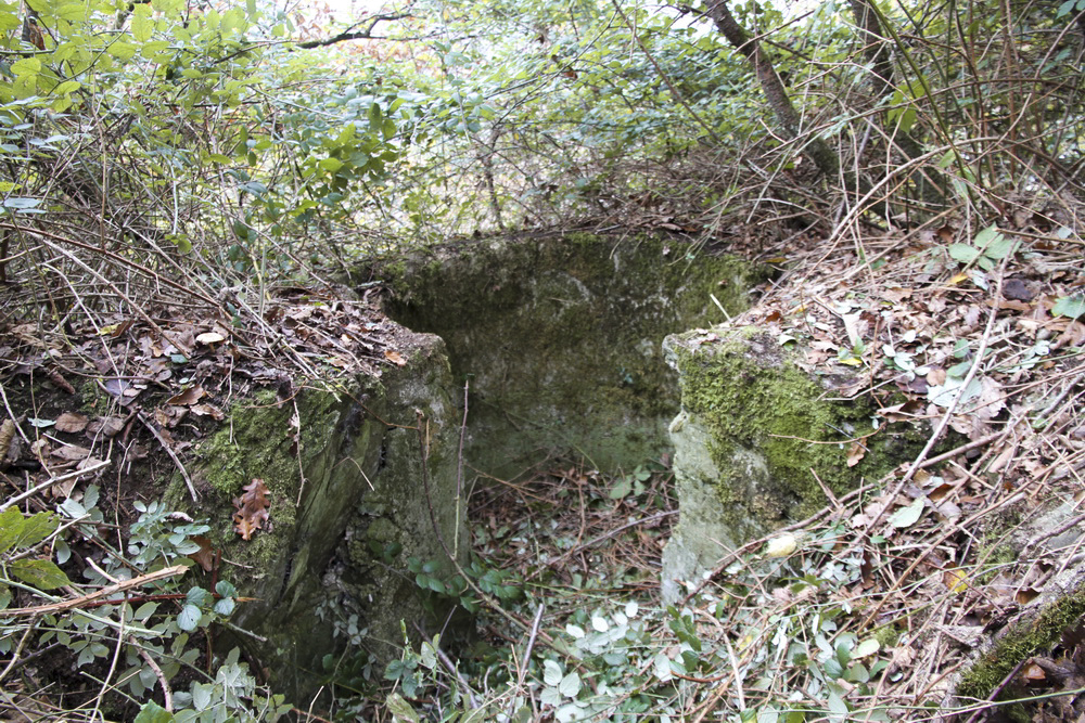 Ligne Maginot - TD20BIS - (Cuve pour arme d'infanterie) - Après un très gros débroussaillage - Alain Perouffe