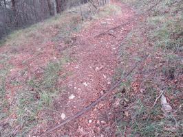 Ligne Maginot - MONT AGEL (STATION BASSE DU TéLéPHéRIQUE) - (Téléphérique ( Recette)) - Restes des câbles du téléphérique sur le chemin de randonnée parallèle au fort côté ouest au point : N43° 46.519' E7° 24.939'