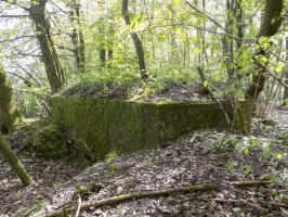 Ligne Maginot - 23A - ELAIRE SUD - (Blockhaus pour canon) - Face frontale/gauche et gauche