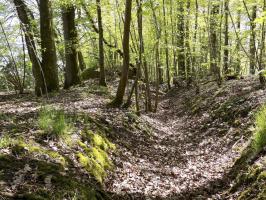 Ligne Maginot - 23A - ELAIRE SUD - (Blockhaus pour canon) - Tranchée d’accès