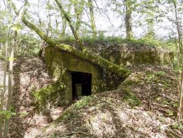 Ligne Maginot - 23A - ELAIRE SUD - (Blockhaus pour canon) - L'entrée AC
