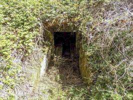 Ligne Maginot - 24A - BOIS DE FLIZE EST - (Blockhaus pour canon) - L'entrée.
Ce bloc est complètement enterré de végétation.
