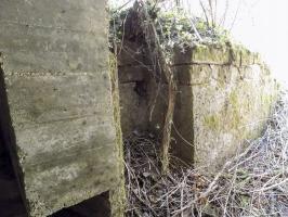Ligne Maginot - 24A - BOIS DE FLIZE EST - (Blockhaus pour canon) - L'entrée