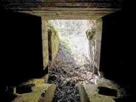 Ligne Maginot - 24A - BOIS DE FLIZE EST - (Blockhaus pour canon) - L'entrée