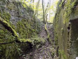 Ligne Maginot - 26A - RIMONNEAU OUEST - (Blockhaus pour canon) - Vue de l'entrée vers le tranchée