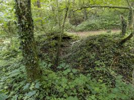 Ligne Maginot - 26A - RIMONNEAU OUEST - (Blockhaus pour canon) - Le tranchée du chemin vers l'entrée