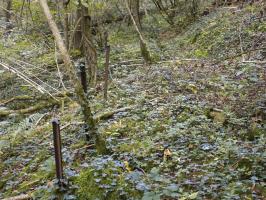 Ligne Maginot - 28A - RIMONNEAU - (Blockhaus pour canon) - Les poteaux du chemin abandonné vers le bloc