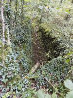 Ligne Maginot - 28A - RIMONNEAU - (Blockhaus pour canon) - Vue de l'accès vers l'entrée