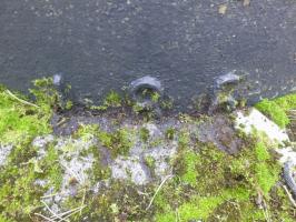 Ligne Maginot - DAMBACH SUD - C56 - (Casemate d'infanterie - Double) - Marquage sur une des cloches