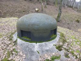 Ligne Maginot - DAMBACH SUD - C56 - (Casemate d'infanterie - Double) - Cloche GFM