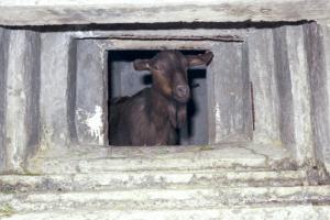 Ligne Maginot - CONCHETAS - CONQUET (OC) - (Ouvrage d'infanterie) - Bloc 6
Créneau et sa gardienne