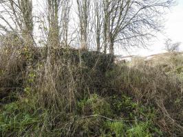 Ligne Maginot - KEMPLICH SUD 2 - (Blockhaus pour arme infanterie) - La façade de tir.