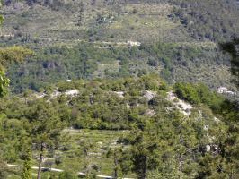 Ligne Maginot - CASTES RUINES (CR) - (Ouvrage d'infanterie) - Vue d'ensemble