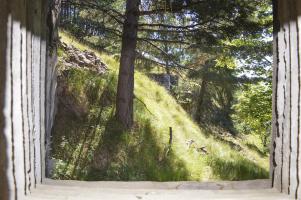 Ligne Maginot - LA BEOLE (BE) - (Ouvrage d'infanterie) - Bloc 1
Trémie FM