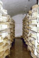 Ligne Maginot - CAVE A CANON - (Ouvrage d'infanterie) - Cave à Canon ou … à Fromage
1980