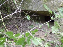 Ligne Maginot - BB80-A - LE TILLEUL - (Blockhaus pour canon) - 