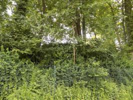 Ligne Maginot - BB80-E - CHATEAU DE FLIZE - (Blockhaus pour arme infanterie) - Pris au bord de la rivière