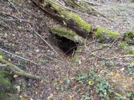 Ligne Maginot - La FALAISE (CM2 / III / 148° RIF) ( PC de Sous-Quartier ) - L'entrée ouest