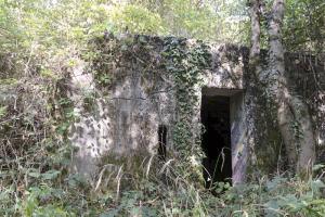 Ligne Maginot - STEINBESCH SUD (39° RAMF) - (PC) - Alvéole est