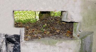 Ligne Maginot - STEINBESCH SUD - (Blockhaus pour canon) - 