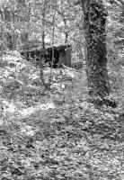 Ligne Maginot - STEINBESCH SUD - (Blockhaus pour canon) - 