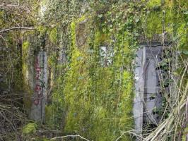 Ligne Maginot - STEINBESCH EST (146° RIF) - (PC de Sous-Secteur) - 