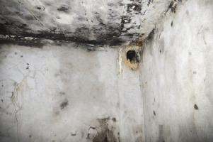 Ligne Maginot - LA BEOLE (BE) - (Ouvrage d'infanterie) - Bloc 1
Étage inférieur
Entrée du câble téléphonique?