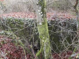 Ligne Maginot - BOIS DE KLANG NORD 3 - (Blockhaus pour arme infanterie) - L'entrée est en partie remblayée.