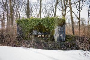 Ligne Maginot - BAMBESCH NORD 1 - (Blockhaus pour canon) - 