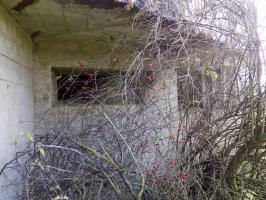 Ligne Maginot - A94 - BRUNCENT - (Blockhaus lourd type STG / STG-FCR - Simple) - Les créneaux