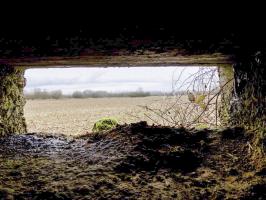 Ligne Maginot - 32B - RUISSEAU DE REVIGNY EST - (Blockhaus pour arme infanterie) - Vue vers le nord-ouest du créneau Hotchkiss