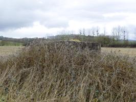 Ligne Maginot - 32B - RUISSEAU DE REVIGNY EST - (Blockhaus pour arme infanterie) - Pris du sud-est