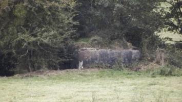 Ligne Maginot - 84 - BEL AIR - (Blockhaus pour canon) - 