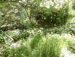 Ligne Maginot - U - BOIS SELLIER - (Blockhaus pour canon) - Une vue d'ensemble du site 